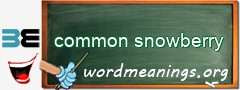 WordMeaning blackboard for common snowberry